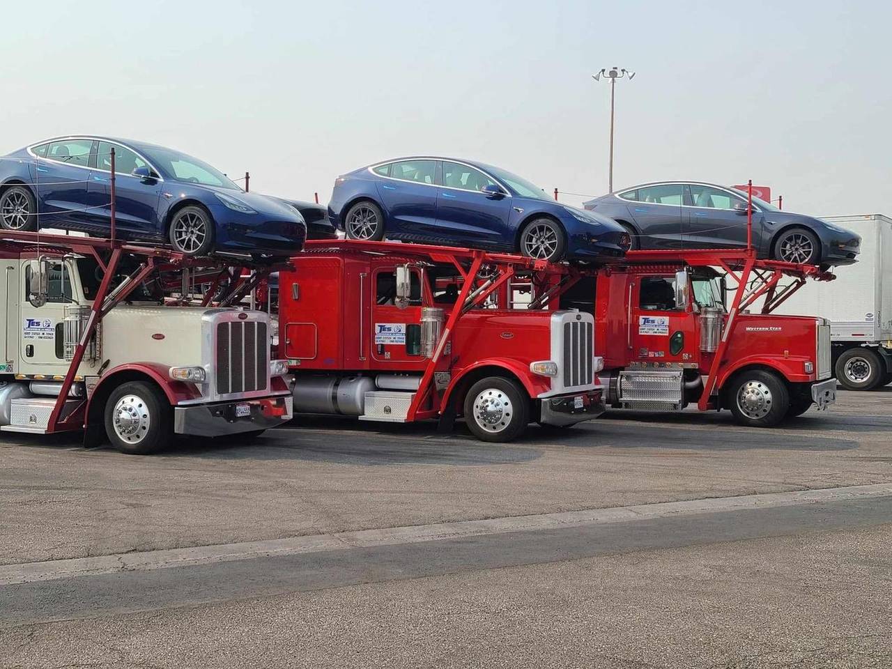 Three TES Transportation trucks loaded with new electric sedans