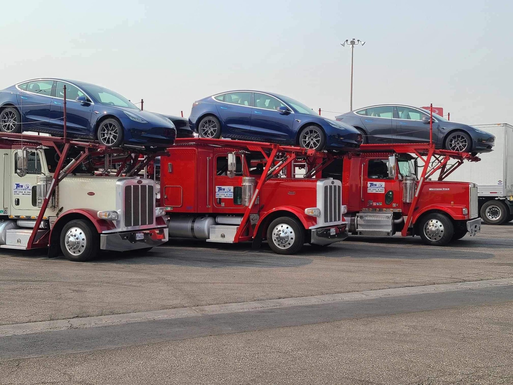 Three loaded TES Transportation car carriers parked in a row